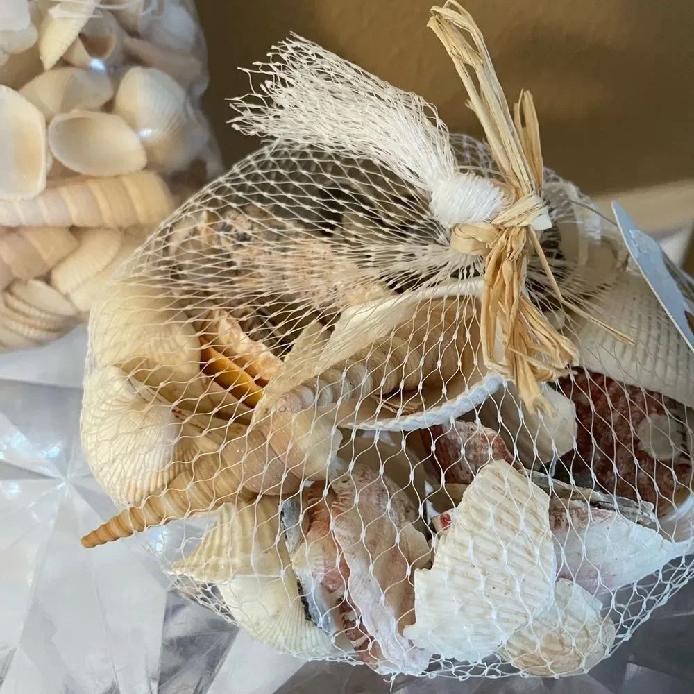 Seashell Lot - Picture 4 of 13